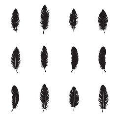 Canvas Print - set of silhouettes of feathers