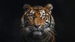 an intense close-up of a tiger’s face, The Majestic Stare of a Tiger. Generative AI