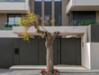 A modern design house front entrance with an iron door, a tree and red flowers by the sidewalk. Travel to Athens, Greece.