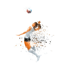 Poster - Volleyball player, woman, isolated low poly vector illustration with shatter effect, side view