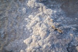 Detailed view of natural salt crystals accumulating on the shore, glistening under early morning light. Ideal for backgrounds and environmental studies.