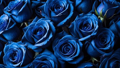 Wall Mural - Silk beautiful blue fresch roses multitude macro