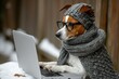 © Andrii  - Adorable Dog in Glasses: Freelance Work Mode