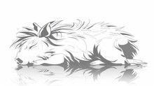   A Black-and-white Drawing Of A Cat Atop A Mirrored Surface, Its Head Reflected In The Gleam