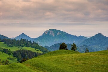 Wall Mural - Spring in the Pieniny with Three Crowns mountain in the background. Mountain landscape with green meadows, hiking in spring nature.