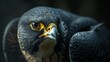 a peregrine falcon in close-up detail. Generative AI