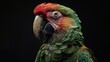 A Portrait of A macaw in a black background. Generative AI