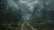 Dark forest path under a stormy sky, photograph conveying the threat of natural and supernatural forces, great for adventure horror stories.