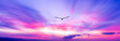 Bird Flying Beautiful Sunset Clouds Silhouette Soaring Inspirational Surreal Romantic Sky Banner Header