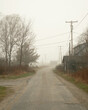 A road in fog on Beals Island, Maine