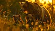 Mother bear and cubs wandering in golden hour light, serene nature scene. Wildlife family bonding, captured in warm tones. Ideal for nature-themed backgrounds. AI