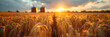 Silos in a Wheat Field Storage of Agricultural,
Panorama of a wheat field with silo on the background during the sunset
