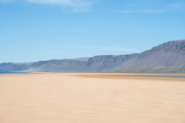 Wall Mural - Raudasandur beach in the westfjords of Iceland