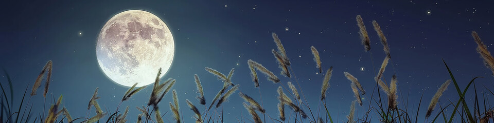 Wall Mural - banner full moon over a field 