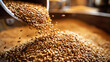 flowing grains of malt for brewing at a beer production facility