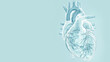 Illustration of human heart drawing white on blue