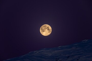 moonlight shadow