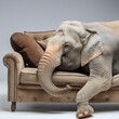 éléphant endormi sur un canapé en ia