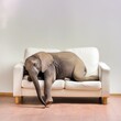 petit éléphant endormi sur un canapé en ia