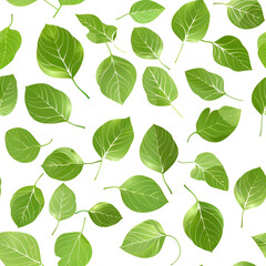 Naklejka na meble Seamless pattern of green aspen tree leaves on a pristine.