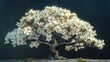 Isolated Splendor: Cornus Florida Tree in 3D Perspective
