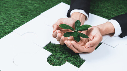 Top view businessman holding sprout over jigsaw puzzle symbolizing the growth and care of a young plant as corporate social responsible investment by reforesting for sustainable environment. Gyre