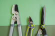  tools for topiary cutting of plants. Secateurs, loppers, and hedge trimmers set against a green background.Garden equipment and tools. Tools for pruning and trimming plants