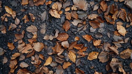 Sticker - Close-up view of fallen foliage