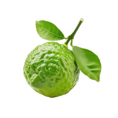 bergamot isolated on a white background