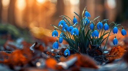 Wall Mural - Blue flowers sprouting from ground