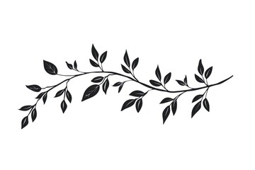 Wall Mural - Divider doodle of branch pattern plant line.
