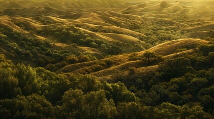 Canvas Print - Valley with hills and trees afar