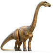 Clipart illustration a diplodocus on white background. Suitable for crafting and digital design projects.[A-0001]