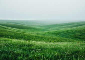 Wall Mural - b'Green rolling hills under a white sky'