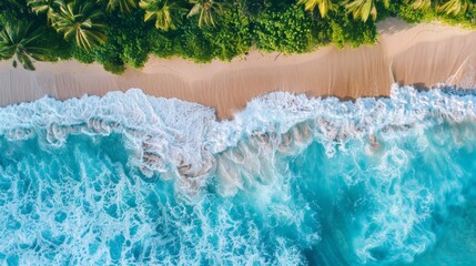 Wall Mural - Aerial view of beach, waves, and palm trees