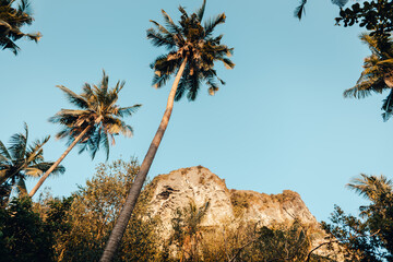 Canvas Print - Coconut trees and rocky mountains on the island in the evening