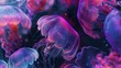 Background of features a group of jellyfish with long, flowing tentacles. Colored in shades of pink and purple in dark background and red tinge as well