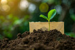 loan approval letter buried in soil, from which sprouts a robust seedling, its leaves unfurling towards a depiction of a sunny economic forecast This scene symbolizes 