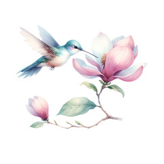 Wall Mural - Hummingbird in Flight Near Magnolia Branch Illustration
