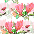 Seamless pattern of flowers magnolia.Image on a white and colored background. Watercolor.