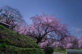Fototapeta Kosmos - 月明かりに照らされた小川村番所の桜