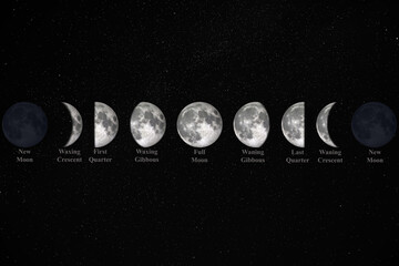 Wall Mural - all phases of moon waning crescent, third quarter, waning gibbous, full moon, waxing gibbous, first 