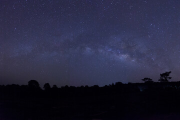 Wall Mural - landscape milky way in night sky