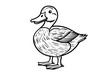 basic cartoon clip art of a Duck, bold lines, no gray scale, simple coloring page for toddlers