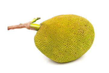 Wall Mural - Jackfruit isolated on white background.Tropical fruit.