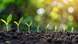 © Ndoomyim - Young Plants Growing in Sequence in Fertile Soil