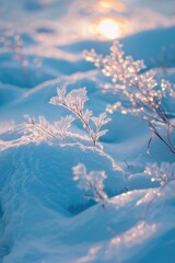 Poster - Close up of snow covered plants, suitable for winter themes