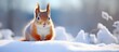 A squirrel perched on snowy incline