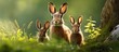 Three rabbits stand grass tree