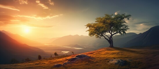 Wall Mural - Solitary tree atop hill overlooking distant lake